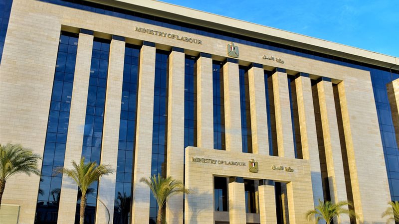 وزارة العمل تعلن 100 فرصة للفتيات بالجيزة.. المقابلات تبدأ 17 أغسطس