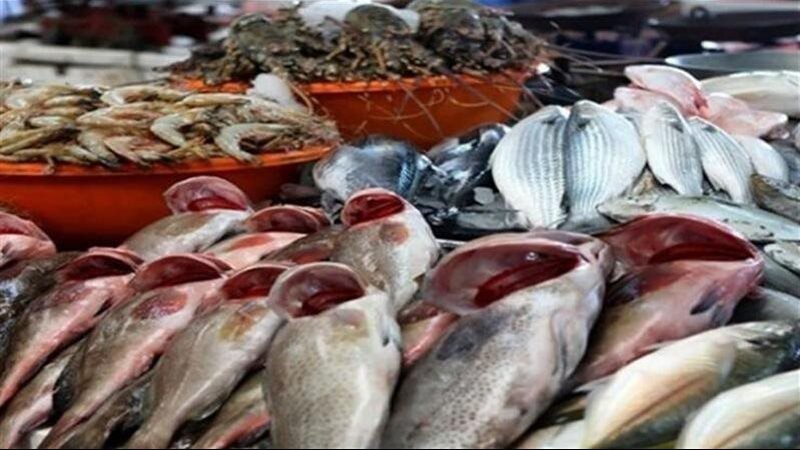 أسعار الأسماك في سوق العبور اليوم السبت 15 أغسطس 2026