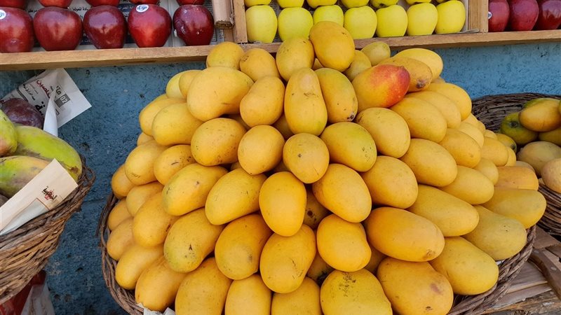 أسعار المانجو في سوق العبور الثلاثاء.. تراجع العويسي والفص وارتفاع 6 أصناف