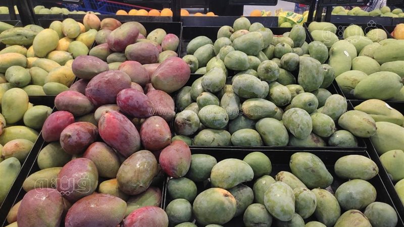أسعار المانجو في سوق العبور الجمعة: العويس والفص حتى 100 جنيه وتراجع السكري 5 جنيهات