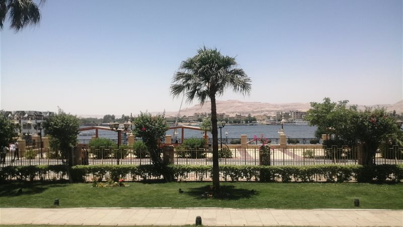 رئيس مركز تغير المناخ: انحسار تدريجي للحر وتحذير للمزارعين من آفات الخريف