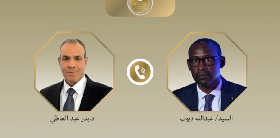وزير الخارجية يؤكد لنظيره المالي دعم مصر لمكافحة الإرهاب في غرب إفريقيا والساحل