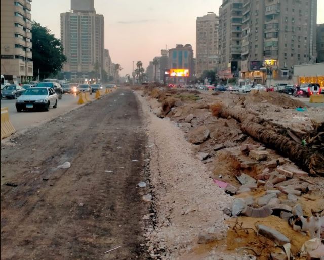 إزالة أشجار جامعة الدول العربية تثير جدلا بين تطوير الطرق والحفاظ على الغطاء الأخضر