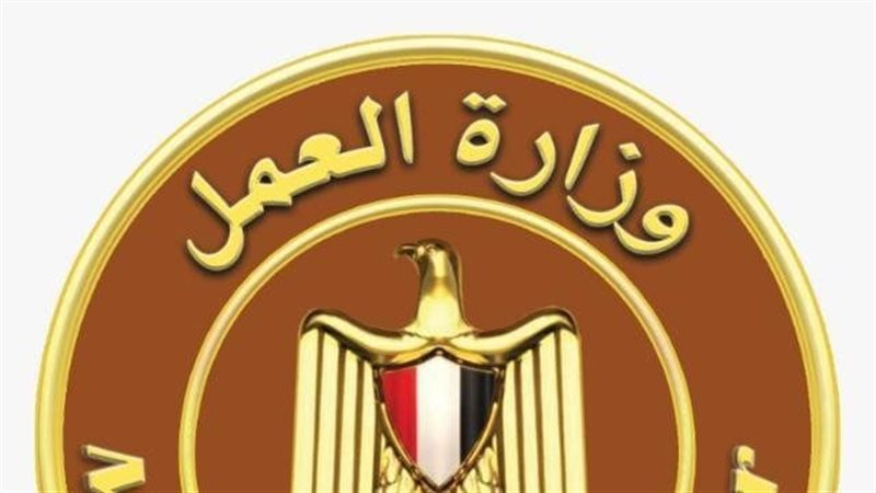وزارة العمل تحذر من صفحات مزيفة تزعم توفير فرص عمل في إيطاليا
