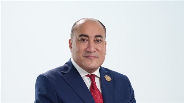 عمرو رشاد: معرض العلمين للطيران والفضاء يدعم الاستثمار وتوطين التكنولوجيا
