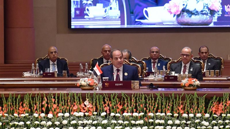 السيسي يطرح تعزيز التمويل والتكنولوجيا والتجارة بين دول البريكس في نيودلهي