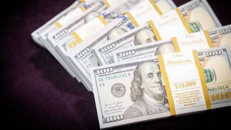 استقرار سعر الدولار أمام الجنيه في بداية تعاملات الخميس 17 سبتمبر 2026