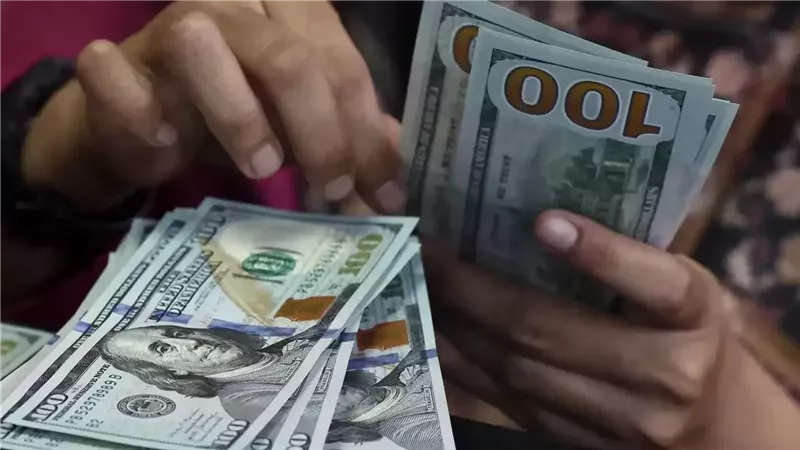 استقرار سعر الدولار أمام الجنيه في البنك المركزي والبنوك المصرية
