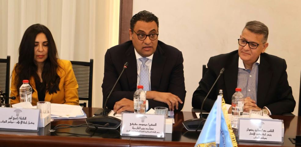القومي لحقوق الإنسان يعتزم تقديم مذكرة للحكومة والنواب بشأن حرية تداول المعلومات