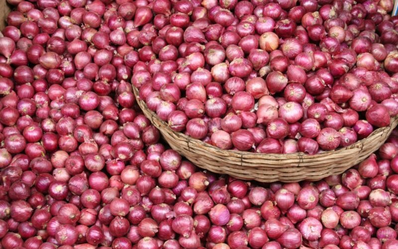 بحوث البصل: فائض 1.6 مليون طن والإنتاج يكفي حتى مايو المقبل