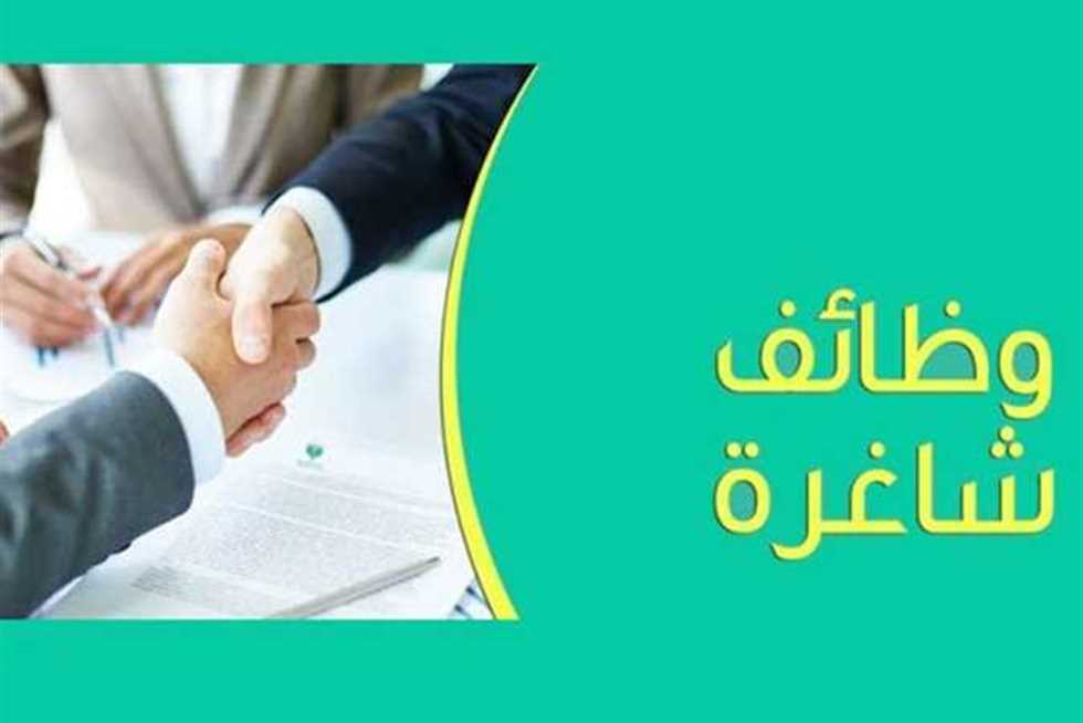 الشباب والرياضة تعلن عن وظائف للشباب برواتب مجزية.. التقديم السبت المقبل
