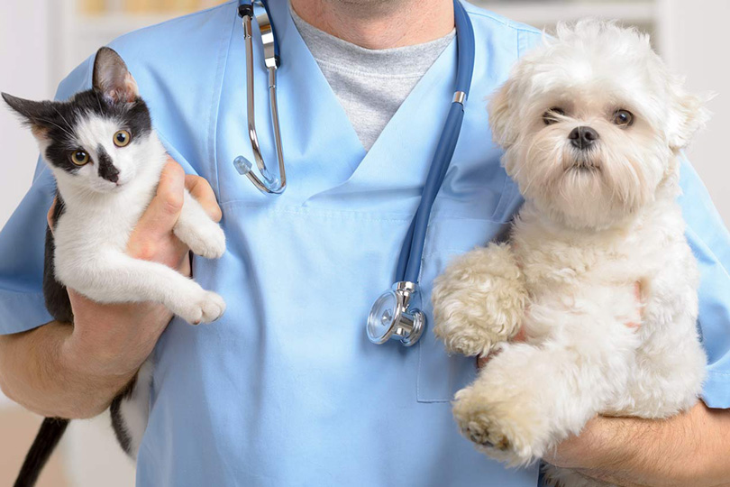 أعرف تنسيق كليات الطب البيطري 2024 بالجامعات الخاصة