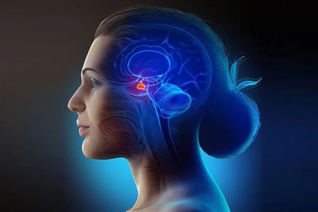 أهم أسباب وأعراض نشاط الغدة النخامية لدى الأطفال والبالغين