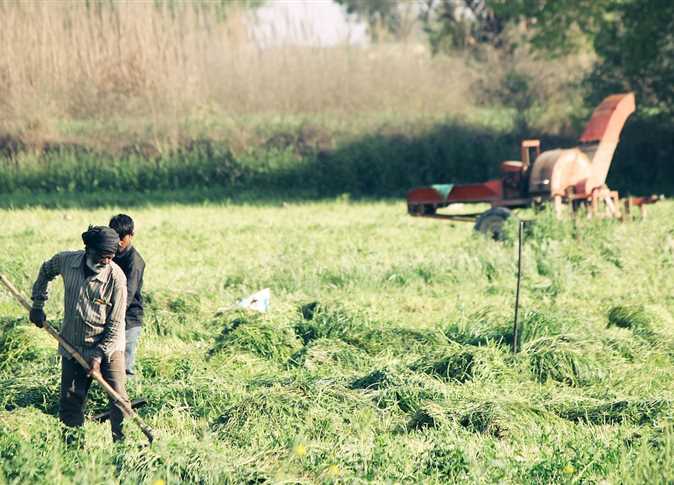البناء والزراعة منها.. تعرف علي وظائف ضمن قائمة الأكثر خطورة عالميًا