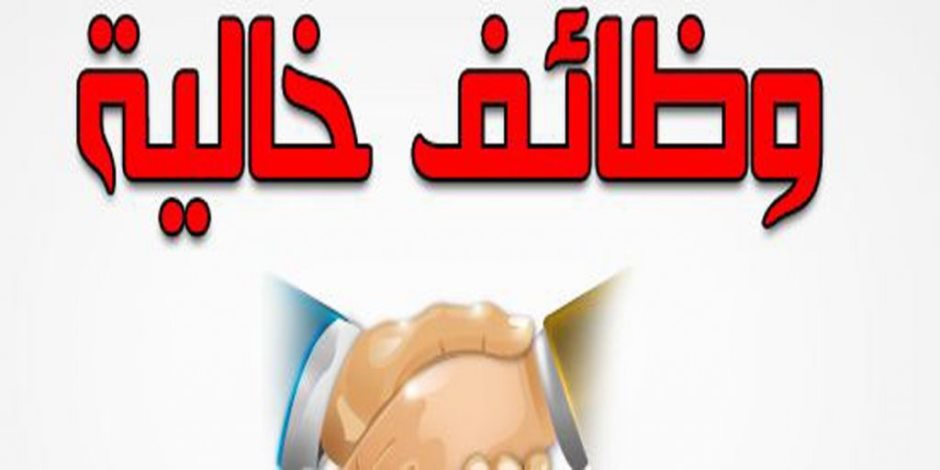 براتب شهري 15,000 جنيه.. وزارة الشباب توفر وظائف جديدة في 10 تخصصات وبدون خبرة «أعرف الشروط ورابط التقديم»