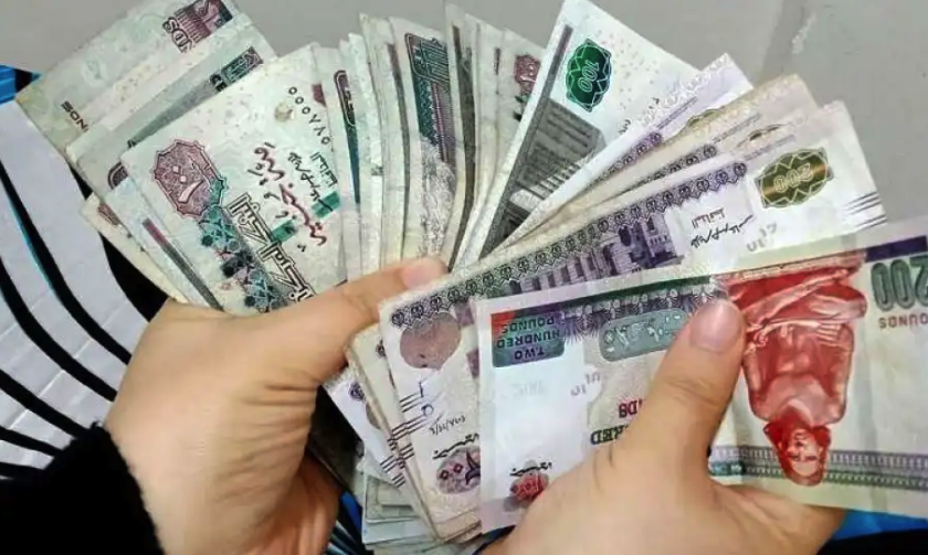 بدون وظيفة.. فرصة ذهبية لتحقيق دخل ثابت يتجاوز 9000 جنيه شهريًا "اعرف التفاصيل"