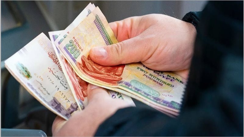 صرف 1000 جنيه برقم البطاقة من البريد.. فرصة ذهبية للحصول على منحة شهر يناير 2025