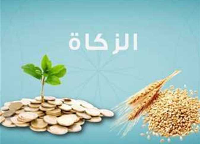 زكاة الفطر 2025 دار الإفتاء المصرية.. اعرف قيمتها المحددة وفقًا للشريعة الإسلامية