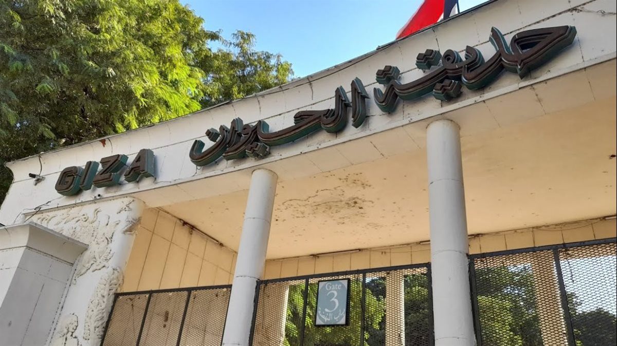 الموعد الرسمي لافتتاح حديقة الحيوان بالجيزة.. مفاجآت جديدة هذا العام
