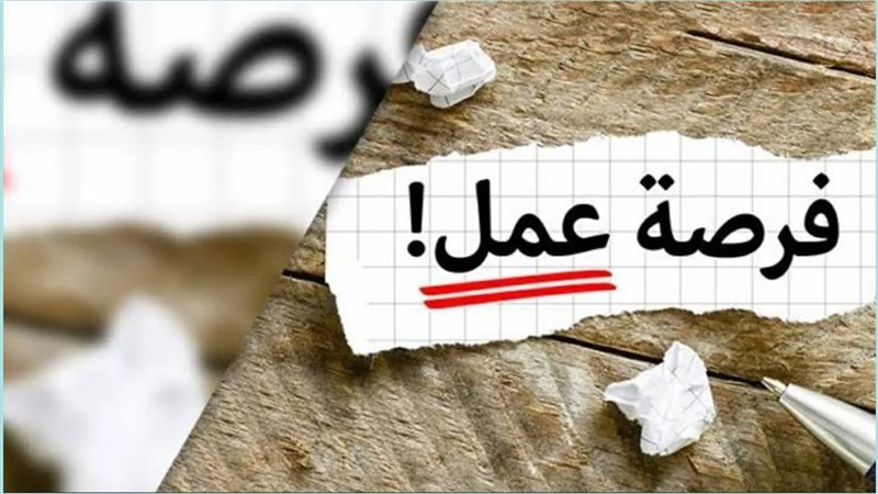 وزارة العمل تعلن عن توفر 5242 فرصة عمل في 50 شركة خاصة تنتظر شباب 8 محافظات