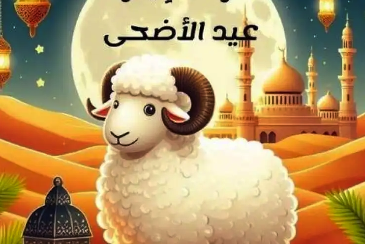 عيد الاضحى على الأبواب.. الأوقاف تحدّد قيمة سهم صكوك الأضاحي لهذا العام