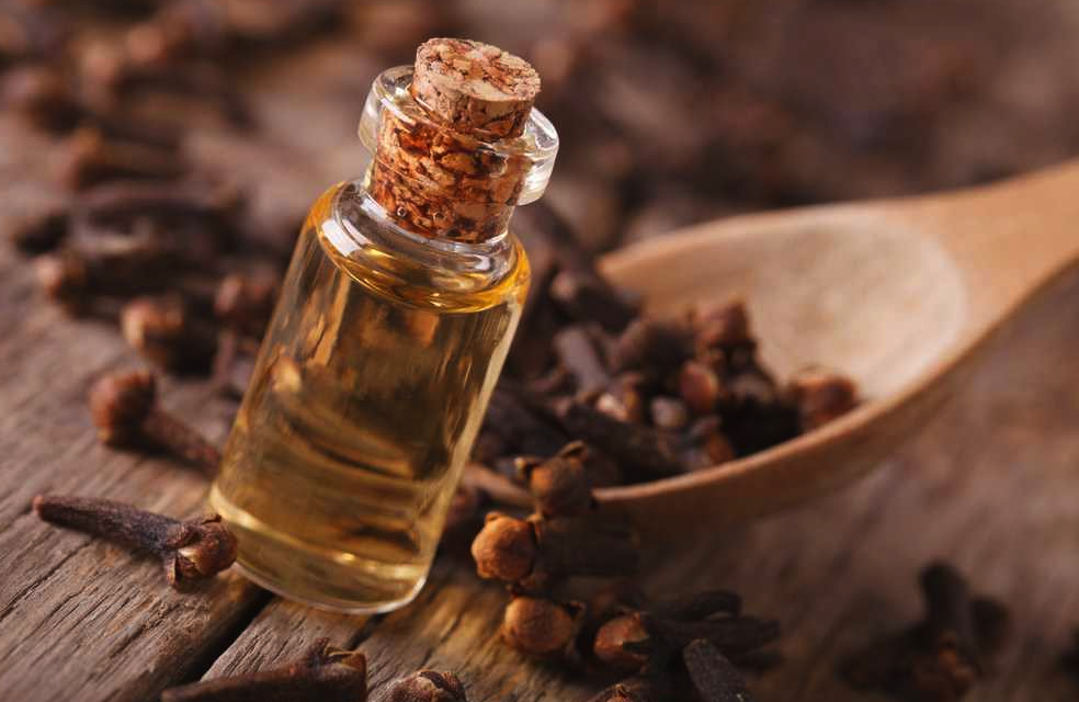 فوائد زيت القرنفل، يعالج التهابات المفاصل ومشاكل الجهاز الهضمي