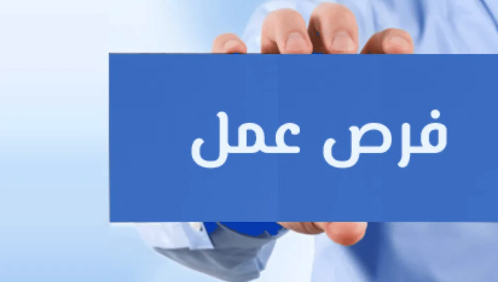 وظائف خالية براتب 7000 جنيه وحوافز سنوية تصل إلى 100 ألف.. اعرف الشروط
