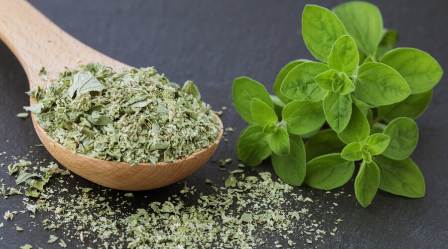البردقوش لجمال البشرة والشعر وتهدئة الأعصاب وتحسين المزاج