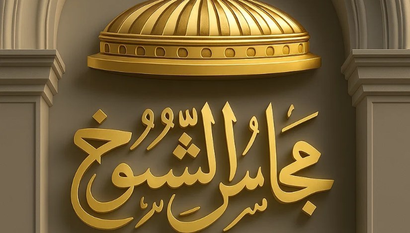 الهيئة الوطنية تهيب بالمرشحين لانتخابات مجلس الشيوخ الالتزام بضوابط الدعاية