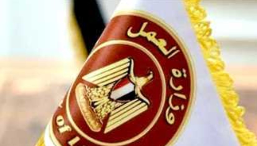 في 10 محافظات.. 2949 وظيفة جديدة للشباب برواتب مجزية في 44 شركة خاصة