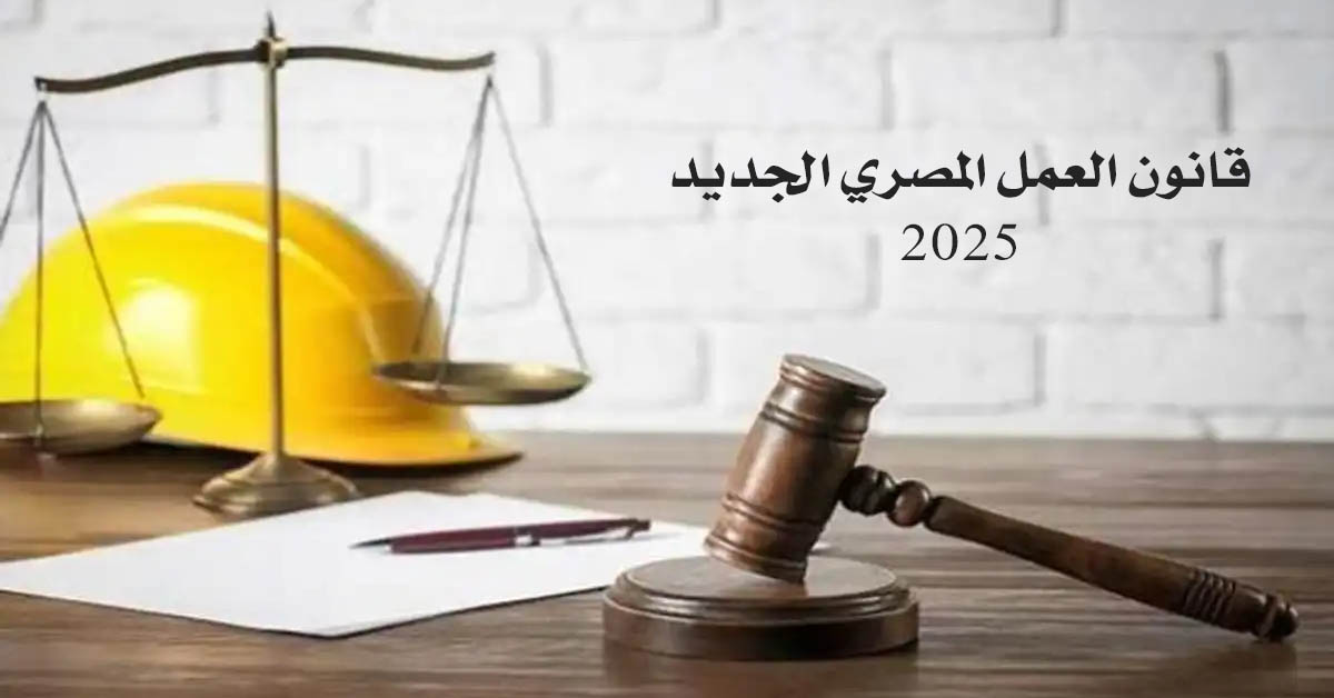 التدريب بقانون العمل..جهات محددة يحق لها مزاولة النشاط