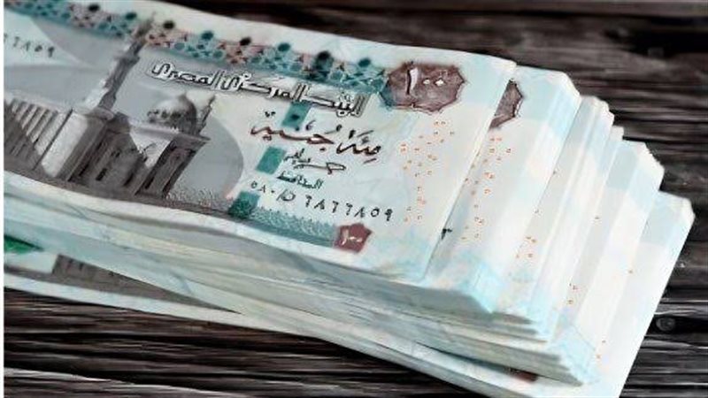 تفاصيل منحة المولد النبوي الشريف 2025 وكيفية الحصول عليها