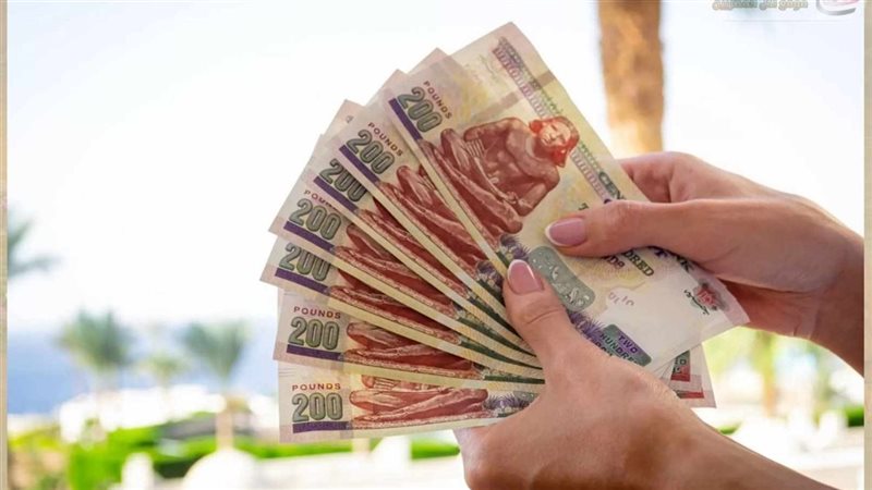 100 ألف جنيه وعائد شهري مميز.. تعرف علي تفاصيل أعلى شهادة في البنك الأهلي لمدة سنة
