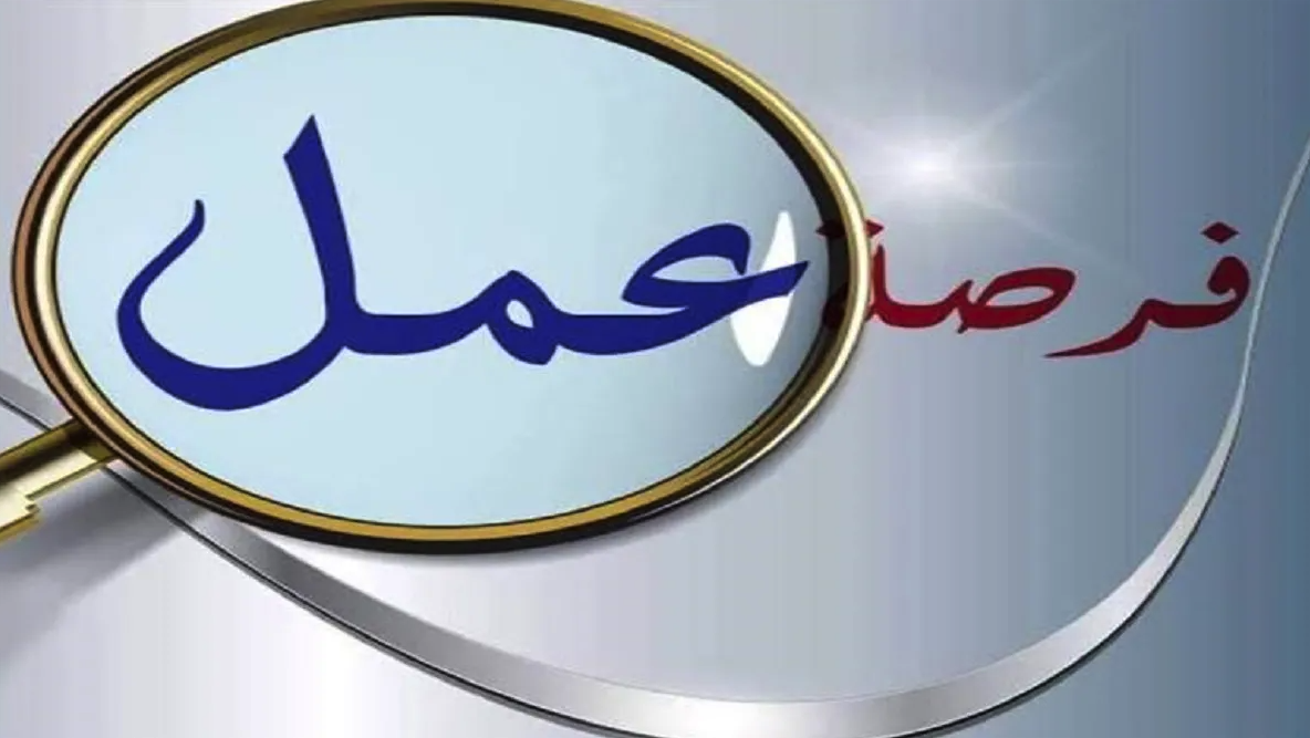 وزارة العمل تعلن فرص عمل جديدة برواتب تصل إلى 12 ألف جنية