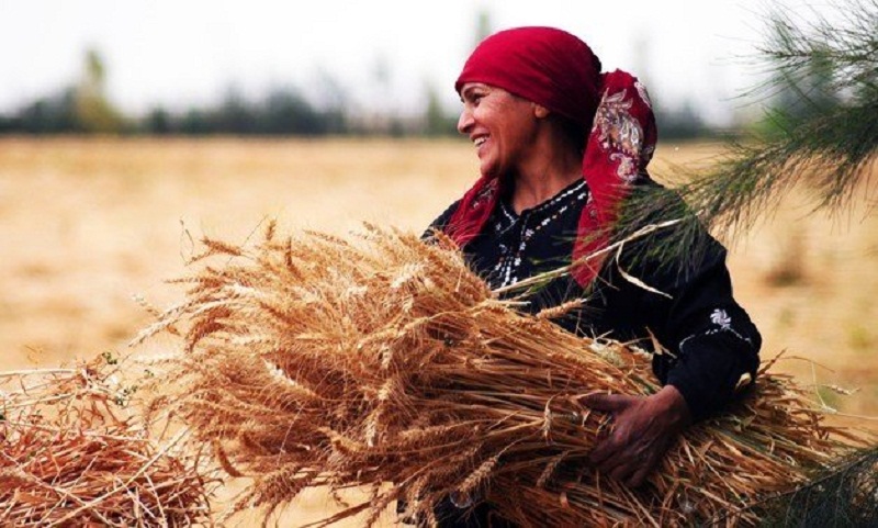 في اليوم العالمي لها..صعوبات وتحديات تواجه المرأة الريفية المصرية