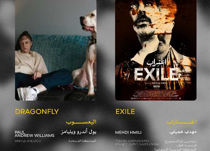 مهرجان القاهرة يعلن عن القائمة النهائية لأفلام المسابقة الدولية في دورته الـ46