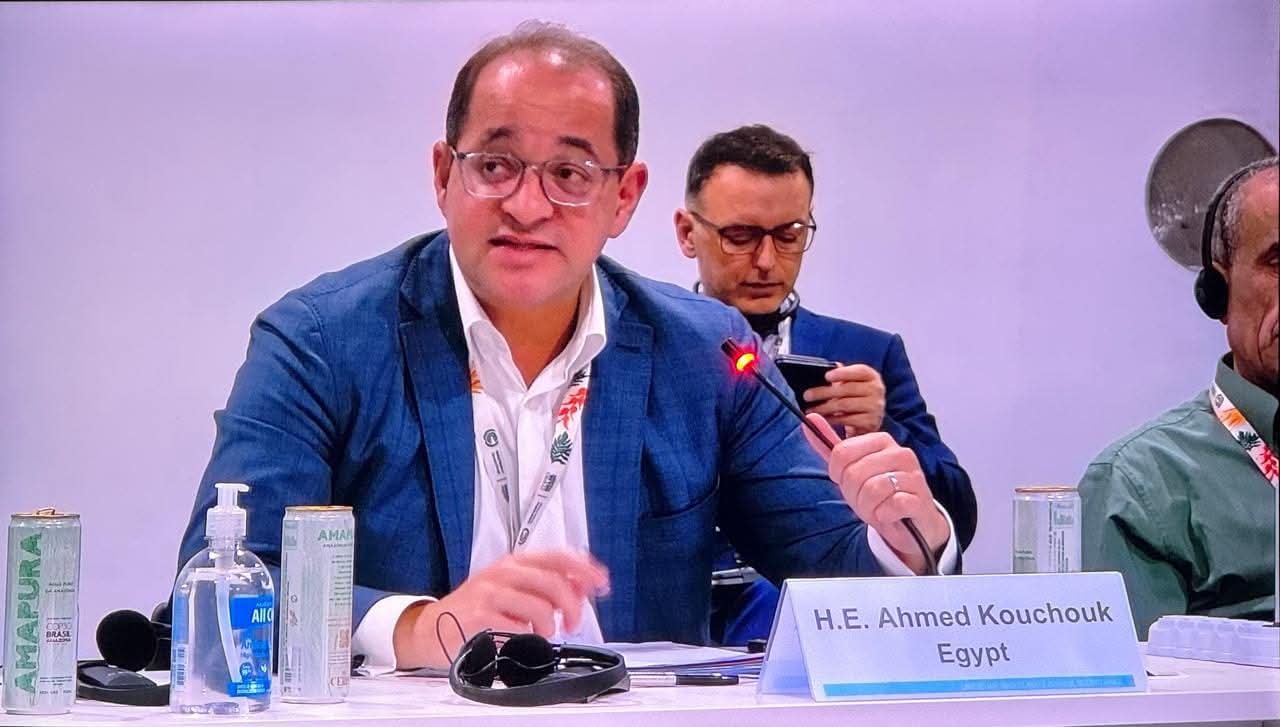 وزير المالية: نتطلع لدور أكبر للمؤسسات الدولية في التمويل الأخضر الميسر لدفع التنمية المستدامة بالدول النامية