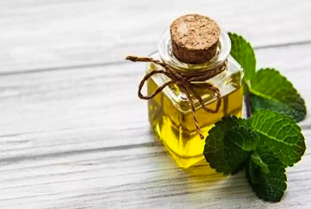 ماذا يحدث لجسمك عند استخدام زيت النعناع