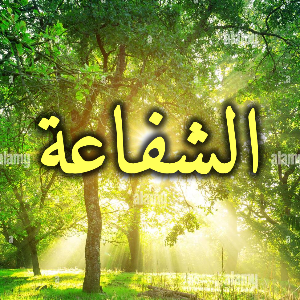 اللهم اجعله شافعا لي.. ما هي أسباب نيل شفاعة النبي صلى الله عليه وسلم؟