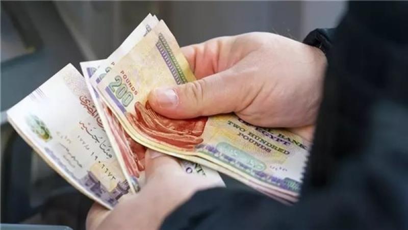 وزارة العمل تبدأ صرف منحة عيد الميلاد المجيد 2026 للعمالة غير المنتظمة