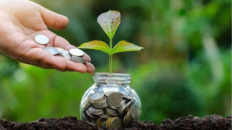 ما حكم دفع الصدقات لخدمة ذوي الهمم؟.. الإفتاء تجيب