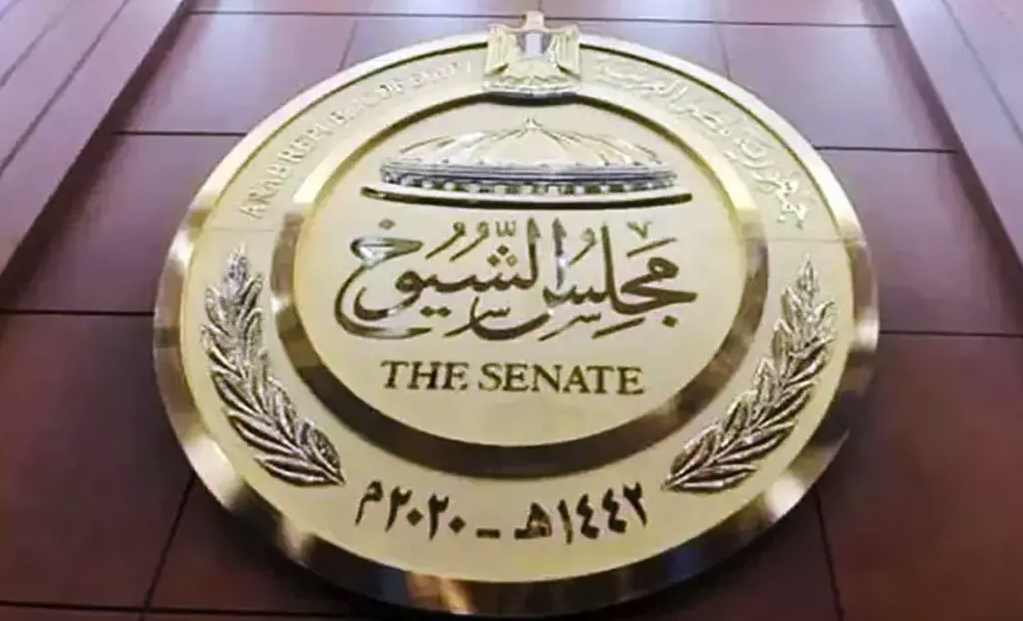 مجلس الشيوخ ينحاز للعدالة الدستورية في تعديلات قانون الكهرباء