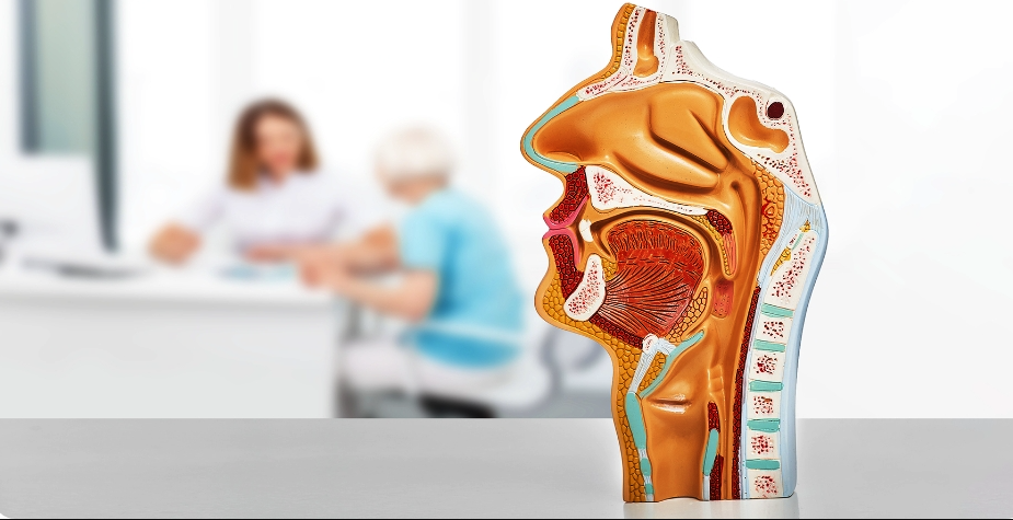 أداة ذكية تساعد في علاج سرطان الحلق