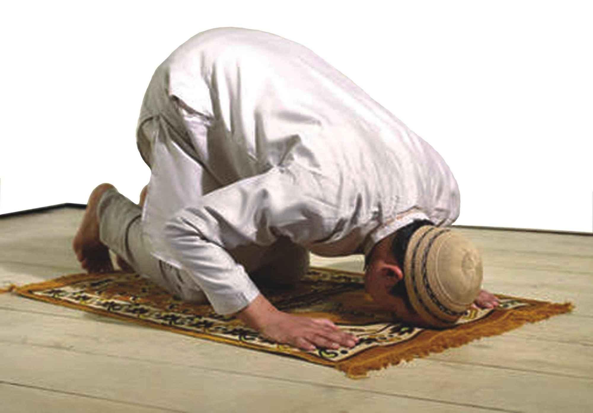 هل يأثم من يترك صلاة الشفع والوتر؟.. أمين الفتوى يجيب