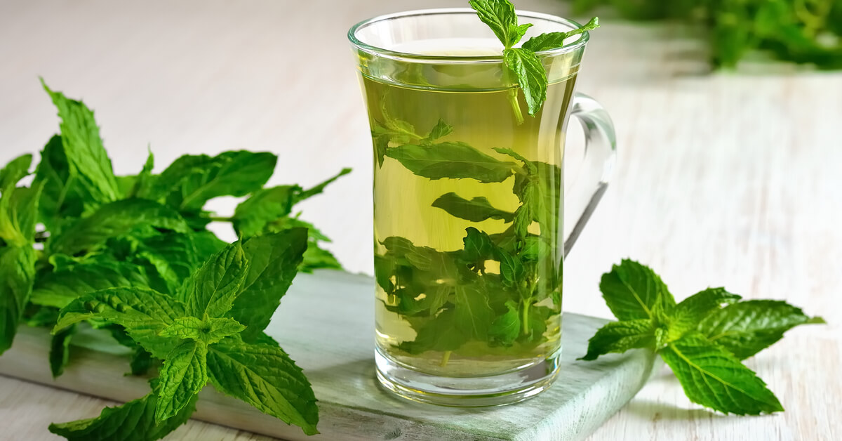 فوائد شرب النعناع قبل النوم.. مشروب بسيط بفوائد صحية متعددة