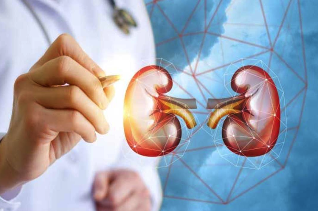 لا تتجاهلها... 5 تغيّرات في البول قد تشير إلى تلف مبكر بالكلى