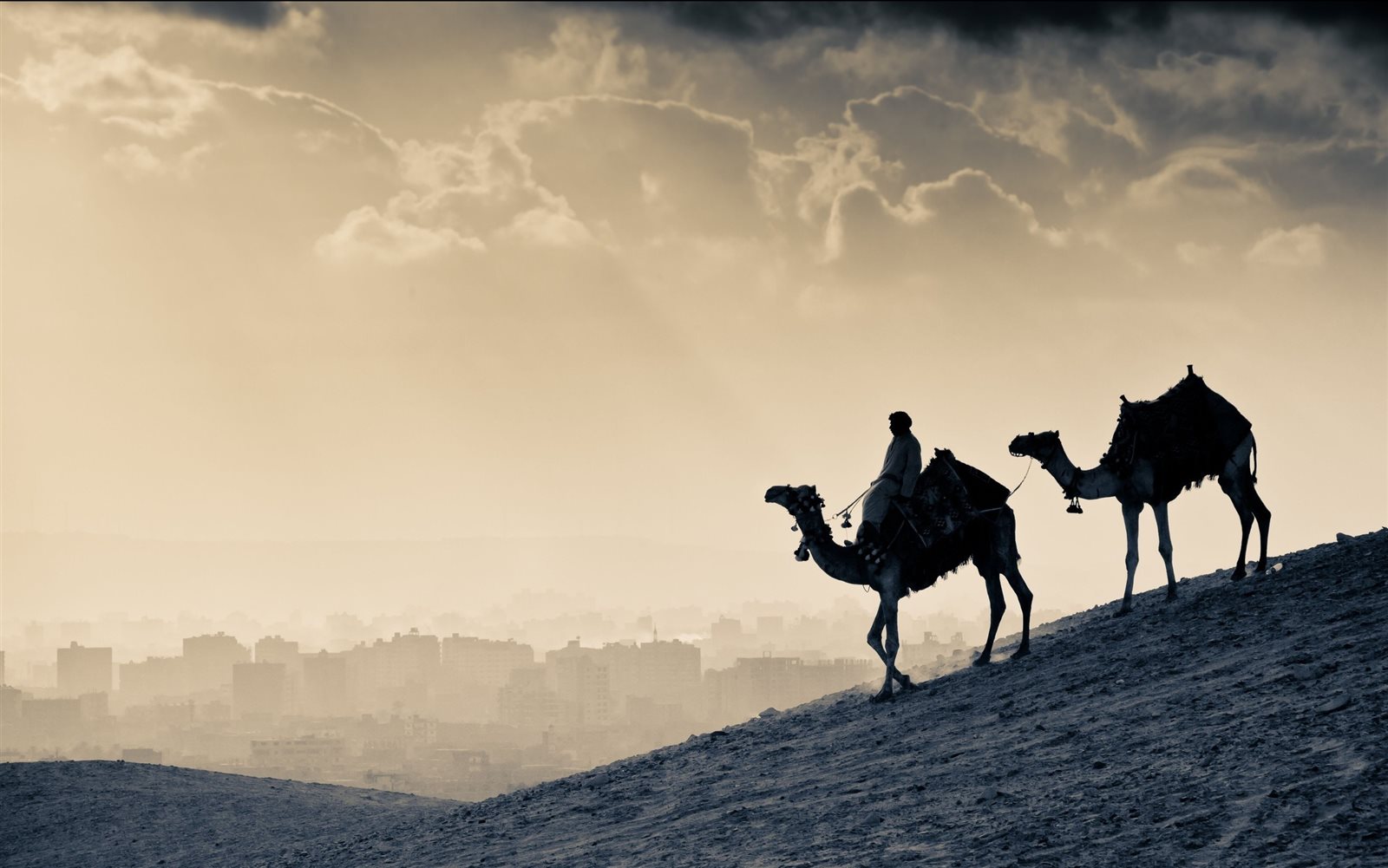 لماذا لم يعتمد النبي على المعجزة في الهجرة؟.. أمين الفتوى يجيب